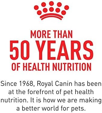 Royal Canin Canine Health Nutrition Adult In Gel Canned Dog Food, 13.5 oz can(Pack of 12) Pet Supplies - Image 3