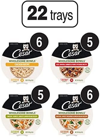 CESAR WHOLESOME BOWLS Adult Soft Wet Dog Food Variety Pack, (22) 3 oz. Bowls Pet Supplies - Image 2