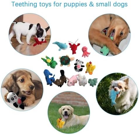 Pet Supplies LEGEND SANDY Squeaky Plush Dog Toy Pack for Puppy, Small Stuffed Puppy Chew Toys 12 Dog Toys Bulk with Squeakers, Cute Soft Pet Toy for Small Medium Size Dogs - Image 5