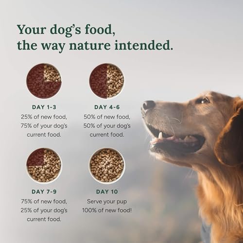 360 Pet Nutrition Freeze Dried Raw Complete Meal for Adult Dogs, High Protein, Omega 3's, No Fillers, Made in The USA, 16 Ounce (Multi Meat) Pet Supplies - Image 6