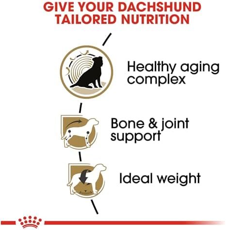 Royal Canin Breed Health Nutrition Dachshund Teckel 8+ Adult Dry Dog Food, 3 lb bag Pet Supplies - Image 4