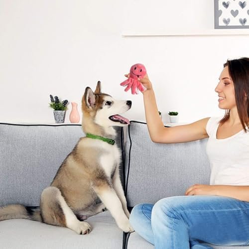 Pet Supplies LEGEND SANDY Squeaky Plush Dog Toy Pack for Puppy, Small Stuffed Puppy Chew Toys 12 Dog Toys Bulk with Squeakers, Cute Soft Pet Toy for Small Medium Size Dogs - Image 7