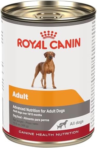 Royal Canin Canine Health Nutrition Adult In Gel Canned Dog Food, 13.5 oz can(Pack of 12) Pet Supplies