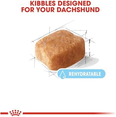 Royal Canin Breed Health Nutrition Dachshund Teckel 8+ Adult Dry Dog Food, 3 lb bag Pet Supplies - Image 3