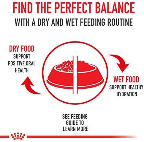 Royal Canin Breed Health Nutrition Dachshund Teckel 8+ Adult Dry Dog Food, 3 lb bag Pet Supplies - Image 5