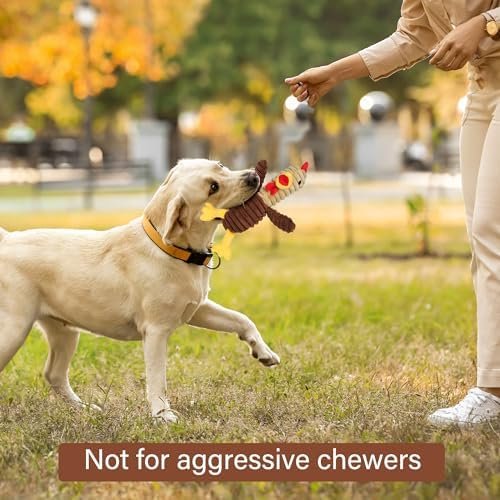 Pet Supplies PrimePets Dog Toys, 5 Pack, Plush Dog Squeaky Toys, Assortment Value Bundle Animal Pet Toy for Small Medium Large Dogs, Stuffed Puppy Chew Toy, Cute Dog Gift Toys - Image 6