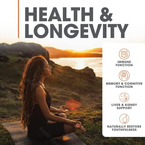 Genius Mushroom - Lions Mane, Cordyceps and Reishi - System Booster & Nootropic Supplement - for Energy & Support, 90 Veggie Pills Health & Household - Image 3