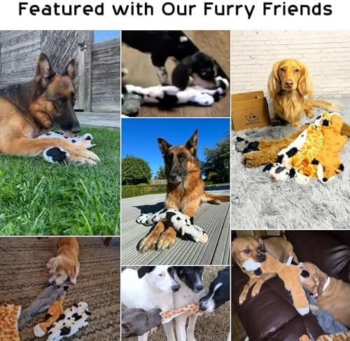 Pet Supplies Nocciola Dog Squeaky Toys, 5 PCS Crinkle Plush Dog Toys, No Stuffing Dog Toys for Small Medium Large Dogs, Stuffless Puppy Toys for Boredom - Image 6