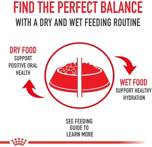 Royal Canin Canine Health Nutrition Adult In Gel Canned Dog Food, 13.5 oz can(Pack of 12) Pet Supplies - Image 2