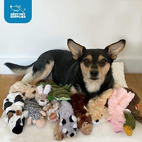 Pet Supplies Pet Toys Best Pet Supplies 2-in-1 Stuffless Squeaky Dog Toys with Soft, Durable Fabric for Small, Medium, and Large Pets, No Stuffing for Indoor Play, Supports Active Biting and Play - 1Wild Duck, Small : - Image 6