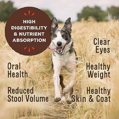 Primal Freeze Dried Dog Food Nuggets, Lamb; Complete & Balanced Meal; Also Use as Topper or Treat; Premium, Healthy, Grain Free, High Protein Raw Dog Food, 14 oz Pet Supplies - Image 2
