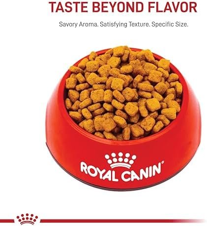Royal Canin Breed Health Nutrition Dachshund Teckel 8+ Adult Dry Dog Food, 3 lb bag Pet Supplies - Image 8
