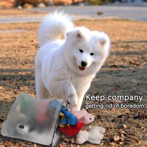 Pet Supplies LEGEND SANDY Squeaky Plush Dog Toy Pack for Puppy, Small Stuffed Puppy Chew Toys 12 Dog Toys Bulk with Squeakers, Cute Soft Pet Toy for Small Medium Size Dogs - Image 6