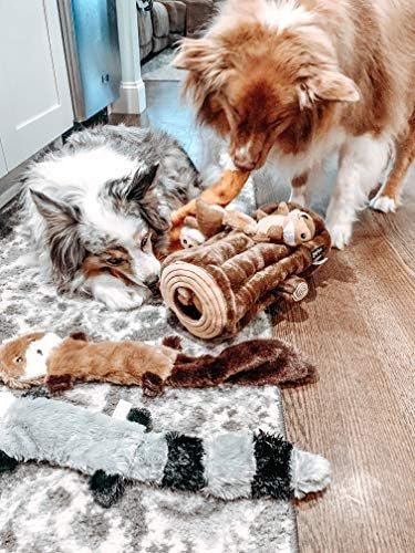 ZippyPaws Skinny Peltz - Fox, Raccoon, & Squirrel - No Stuffing Squeaky Dog Toys, Unstuffed Chew Toy for Small & Medium Breeds, Bulk Multi-Pack of 3 Soft Plush Toys, Flat No Stuffing Puppy Toys - 18" Pet Supplies - Image 2