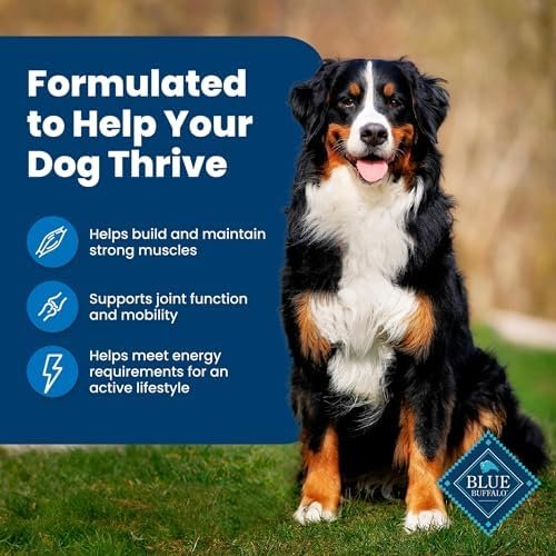 Blue Buffalo Life Protection Formula Adult Dry Dog Food, Helps Build and Maintain Strong Muscles, Made with Natural Ingredients, Chicken & Brown Rice Recipe, 5-lb. Bag Pet Supplies - Image 4
